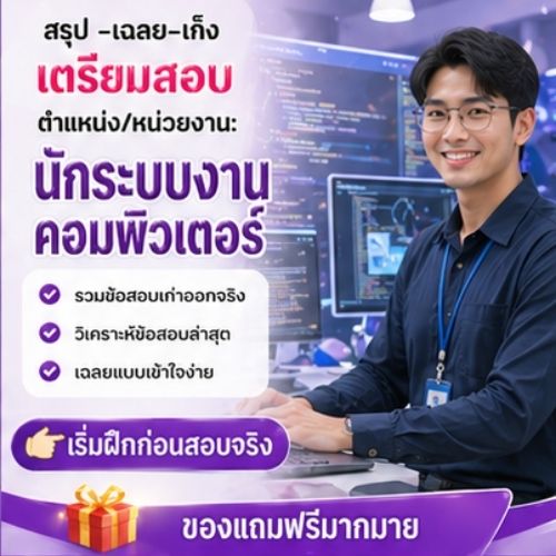 นักระบบงานคอมพิวเตอร์